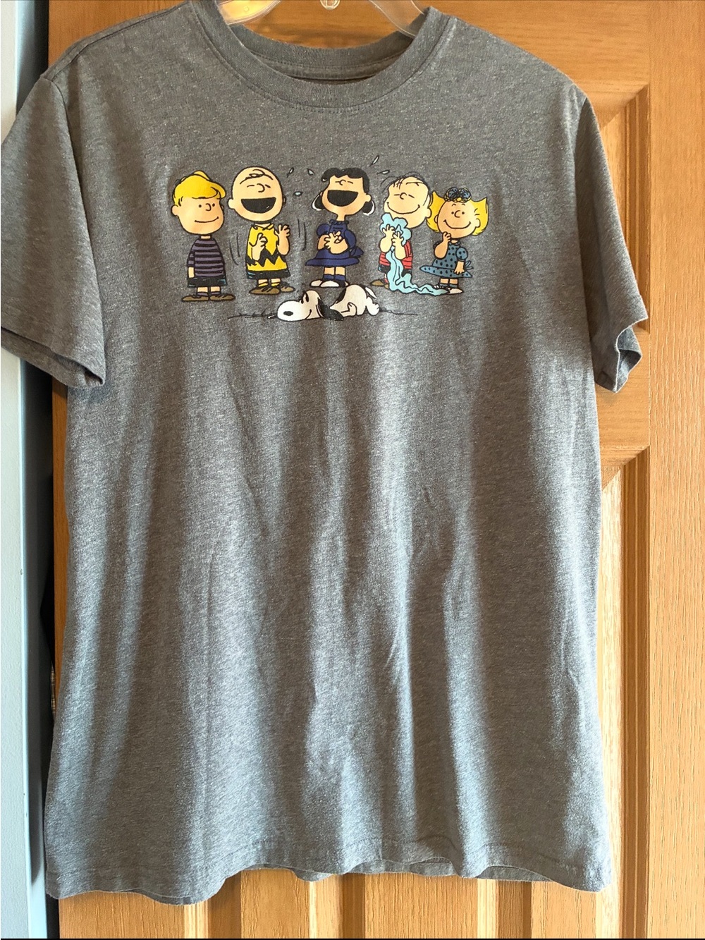 Peanuts Gray Short Sleeve Tee with Colorful Character Print
